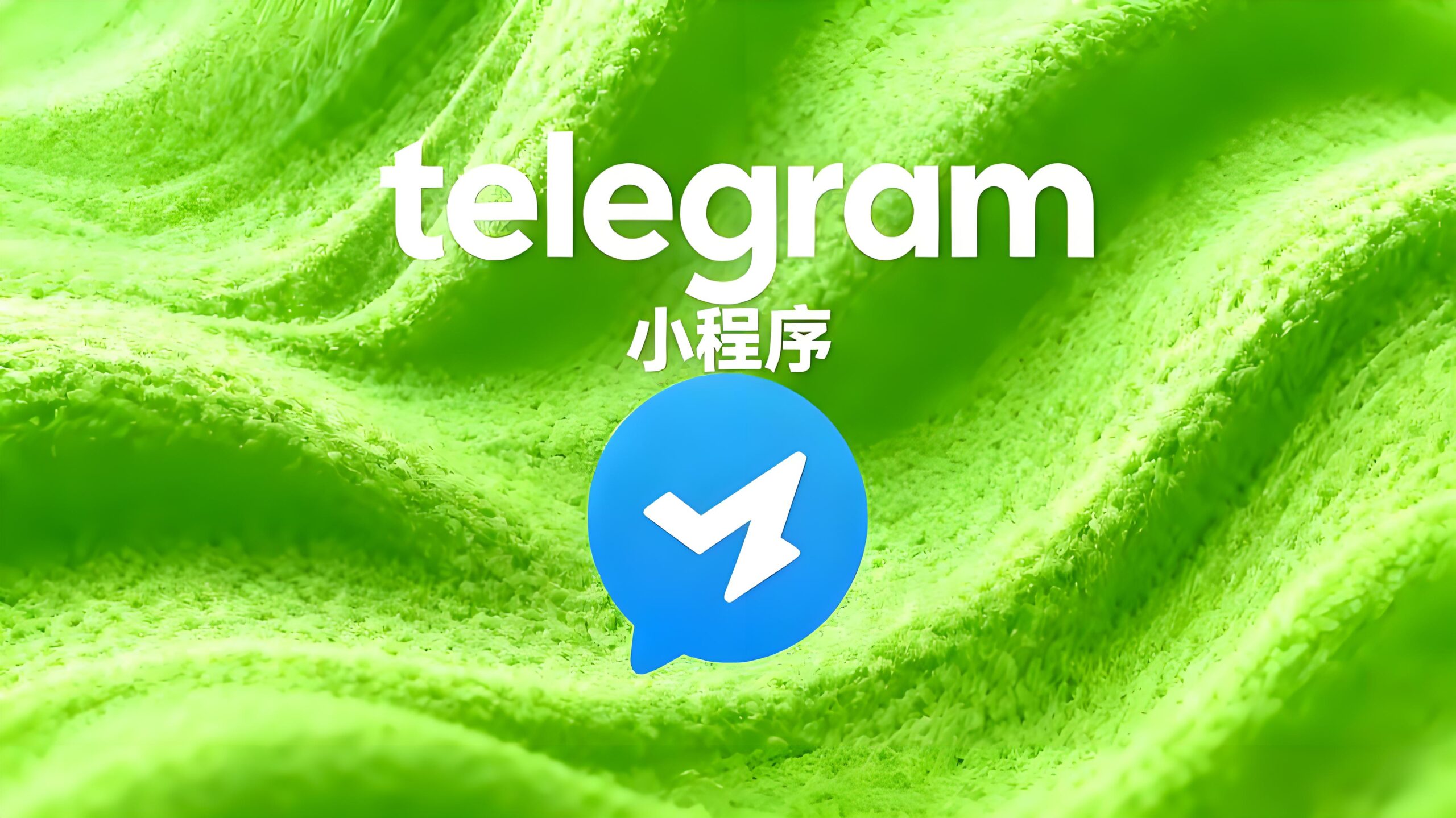 为什么Telegram小程序打不开？