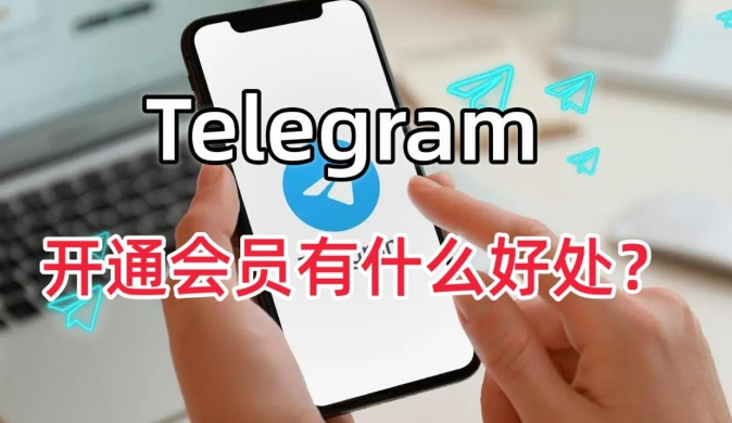 Telegram 会员有什么特权？